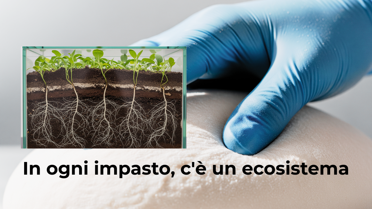 Primo piano di mani con guanti in nitrile blu che tendono un impasto per pane, analizzandone l'elasticità e la struttura glutinica in un ambiente professionale. In sovrimpressione un ecosistema pianta terra.