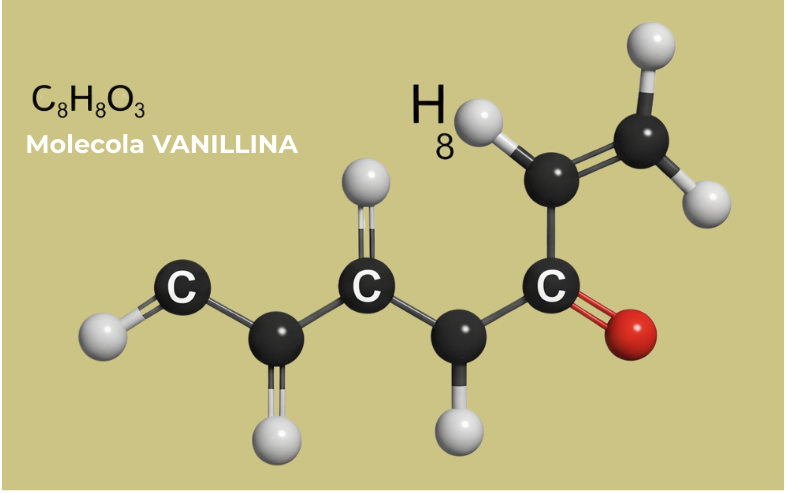 La struttura chimica della molecola di vanillina (C₈H₈O₃), il principale composto aromatico della vaniglia.