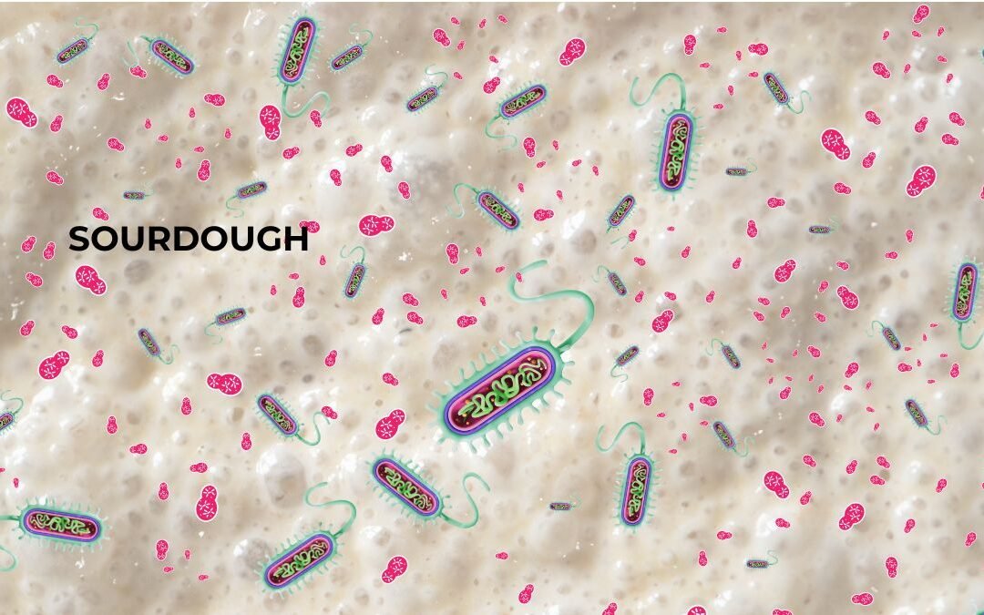 Yeast and Lactic Acid Bacteria: The Secret Symbiosis Behind a Great Leavened Cake