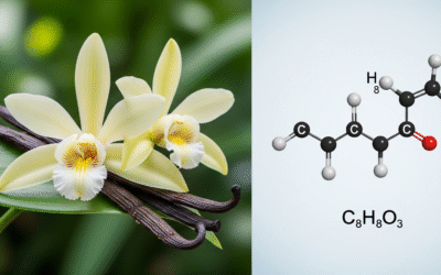 Vaniglia e Vanillina, il duello aromatico