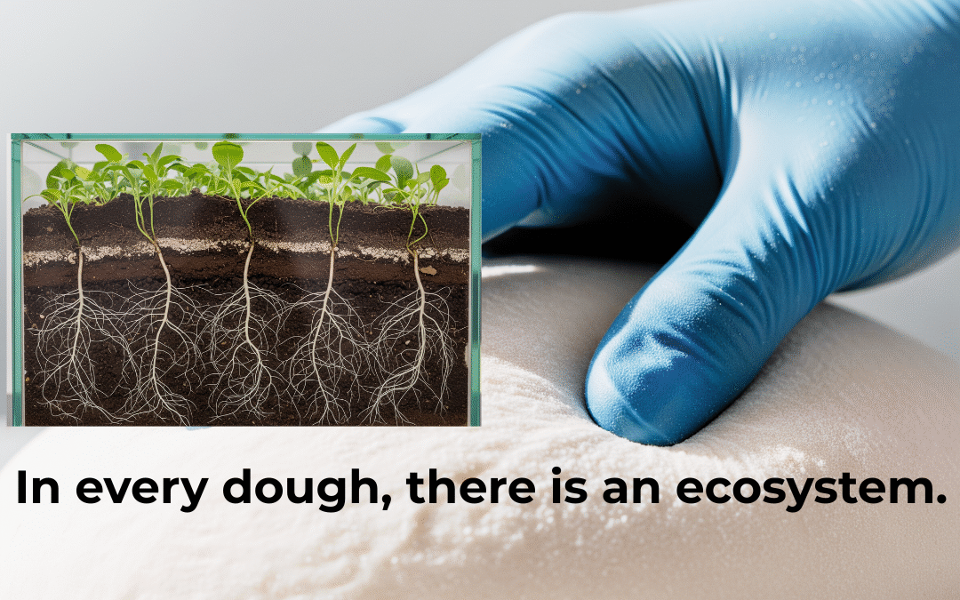 Illustration of a dough cross-section with a glowing root network inside, with the text 'In every dough, there is an ecosystem.'