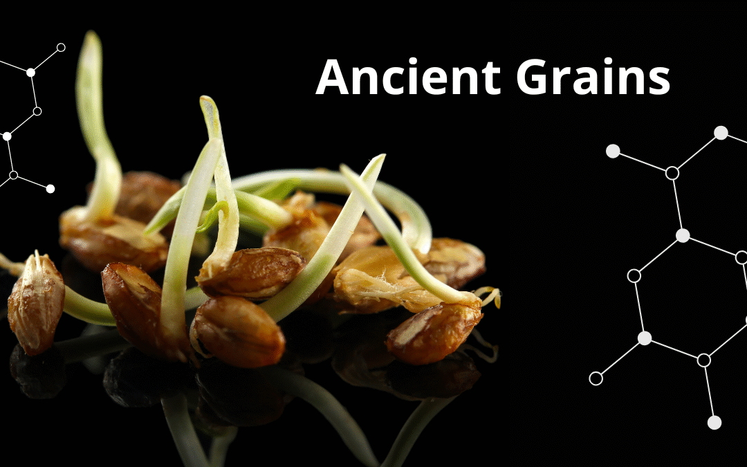 Ancient Grains: The Science of a “Different” Gluten (And Why Your Dough Collapses)