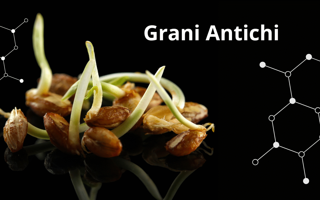 Grani Antichi. La Scienza di un Glutine “Diverso” (e perché il tuo impasto collassa).