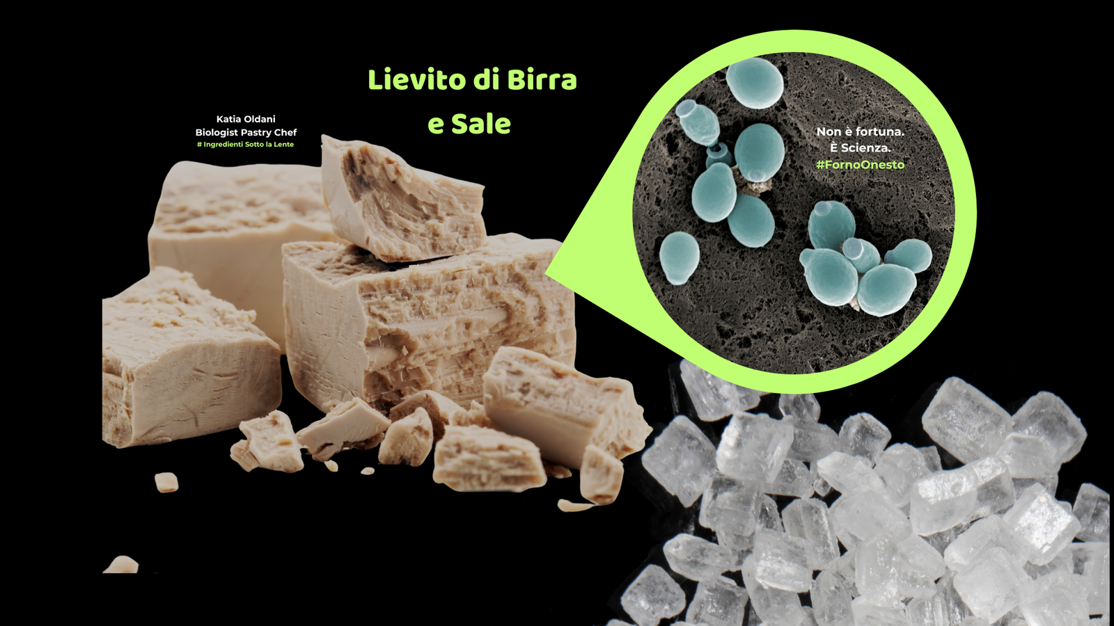 Blocchi di lievito di birra fresco e cristalli di sale grosso. Un ingrandimento al microscopio mostra le cellule di lievito, con la scritta "Non è fortuna. È Scienza." di Katia Oldani, Biologist Pastry Chef.