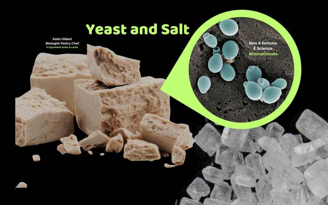 Salt in Baking and Pastry: More Than Just Flavor