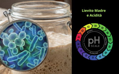 La Scienza della Pasta Madre tra Ideale e Pratica