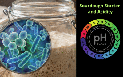 The Science of Sourdough Starter: Mastering the Microbiome for Artisan Baking